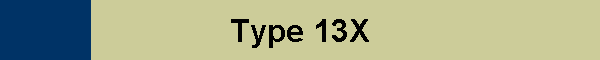 Type 13X