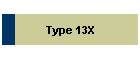 Type 13X