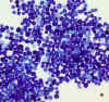 silica_gel_beaded001.jpg (15303 bytes)