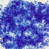 silica_gel_bulk_1001.jpg (20610 bytes)